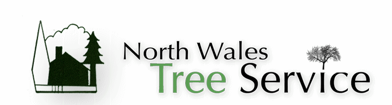 North Wales Tree Services, Tree Surgeons